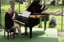 Rick Wakeman Performs Piano Concert to 150 Rescued Moon Bears in Vietnam