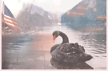 Siyah Kuğu (Black Swan) Olaylarının Borsa Üzerindeki Etkisi: Örnekler ve Açıklamalar