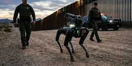 Sınır Bölgesine Robot Köpek Filosu: 2 Milyon Dolarlık Bütçe
