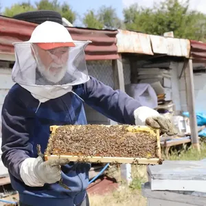 Çubuk'ta arıcılar çiçek balı hasadına başladı