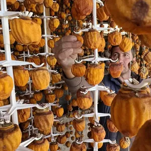 Girişimci iki komşunun kuruttuğu cennet hurması yurt içi ve dışında alıcı buluyor