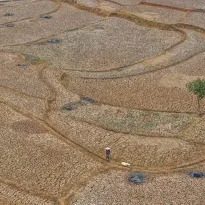 Huge El Niño Projected to Cause 450,000 Deaths in Next Six Months