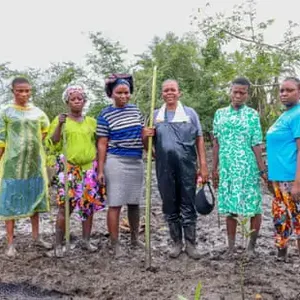 One Green Shoot at a Time: The Women Restoring Mangrove Forests in the Oil-Ravaged Niger Delta