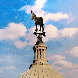 The US Midterm Races that Will Decide Control of Congress – Mapped