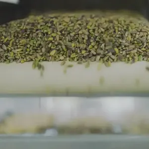 Tiryaki Agro, fıstık tesisinin kapasitesini iki katından fazla artırdı