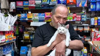 Catnapped bodega cat in Brooklyn reunited with owner after intense grassroots campaign