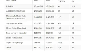 Dış Talep Patladı, Tarımda Tarihi Rekor Geldi: En Fazla İhracat Yapılan 3 Ülke Hangileri Oldu?