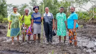 One Green Shoot at a Time: The Women Restoring Mangrove Forests in the Oil-Ravaged Niger Delta