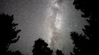 The Night Sky Is Getting 10% Brighter Every Year. We’re Forgetting What Darkness Feels Like