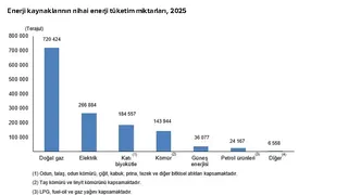 Türkiye'de Hanelerin Enerji Tüketimi Belli Oldu: Evlerde Enerjinin Büyük Bölümü Buna Harcanıyor!