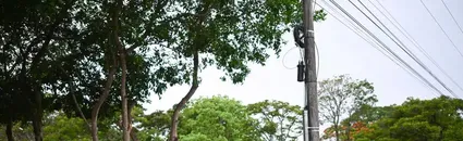 Estados Unidos y Australia Cierran Sus Embajadas y Consulados en Brasil Alegando Clima de Tensión