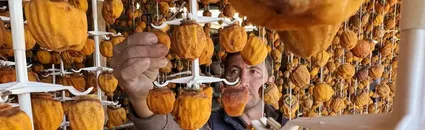 Girişimci iki komşunun kuruttuğu cennet hurması yurt içi ve dışında alıcı buluyor