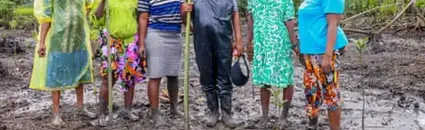 One Green Shoot at a Time: The Women Restoring Mangrove Forests in the Oil-Ravaged Niger Delta