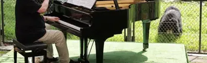 Rick Wakeman Performs Piano Concert to 150 Rescued Moon Bears in Vietnam
