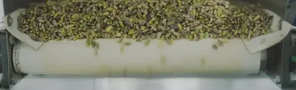 Tiryaki Agro, fıstık tesisinin kapasitesini iki katından fazla artırdı