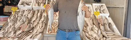 Yeni Av Sezonunda Balıkçının Rotasını Maliyetler ve İklim Belirleyecek