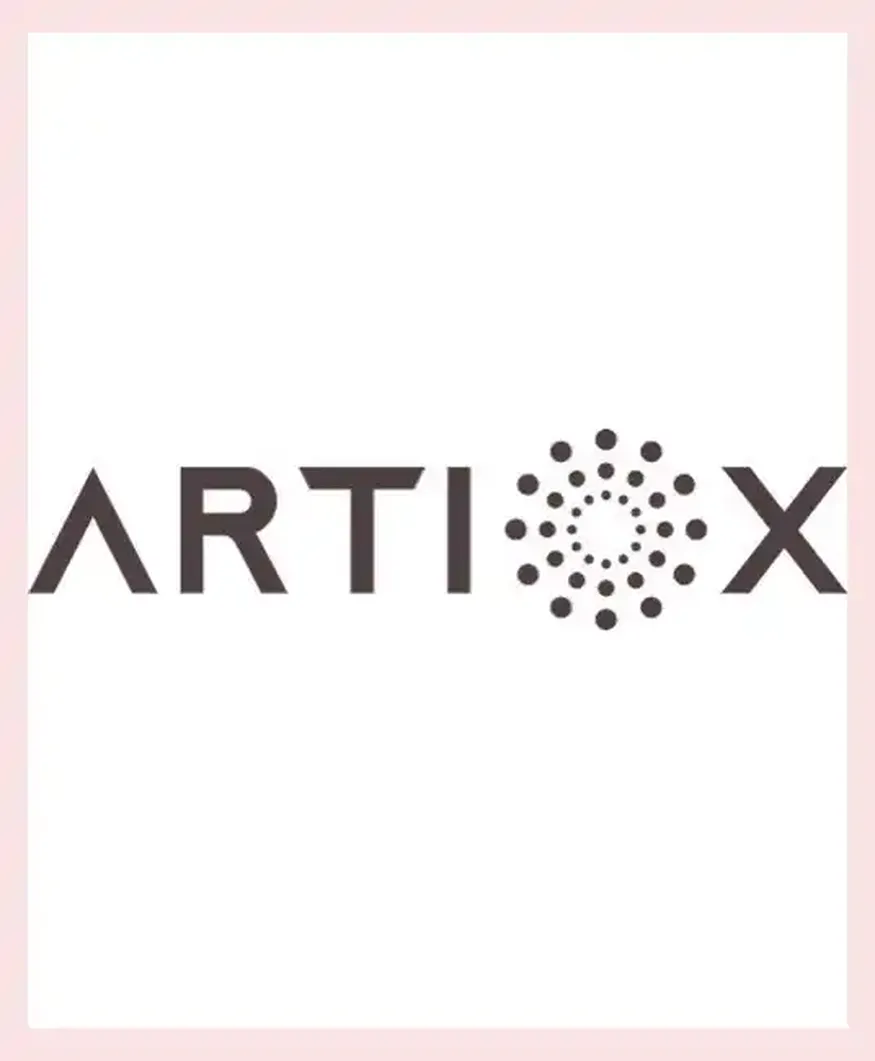 Innovative Solutions in Art Investments: Artiox’s Vision