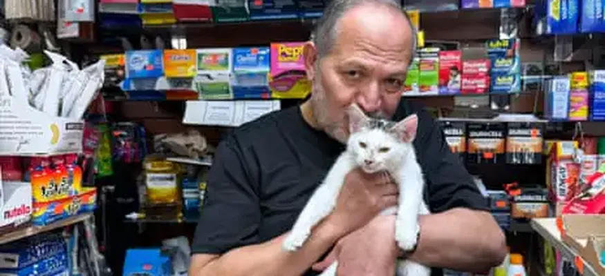 Catnapped bodega cat in Brooklyn reunited with owner after intense grassroots campaign