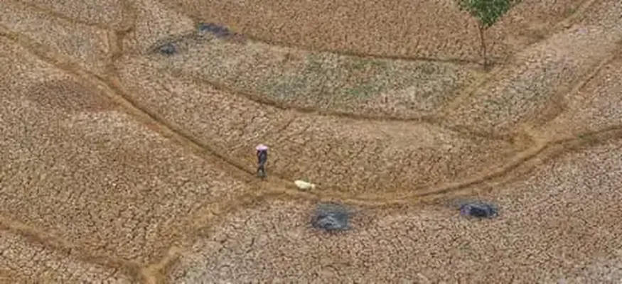 Huge El Niño Projected to Cause 450,000 Deaths in Next Six Months