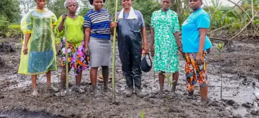 One Green Shoot at a Time: The Women Restoring Mangrove Forests in the Oil-Ravaged Niger Delta