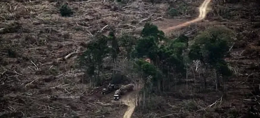 ‘Planetary Boundaries’ Necessary for Flourishing of Life Have Been Massively Breached, Scientists Warn